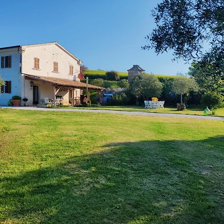 Гостьовий будинок Rustico Del Bozzo Castelleone di Suasa Екстер'єр фото