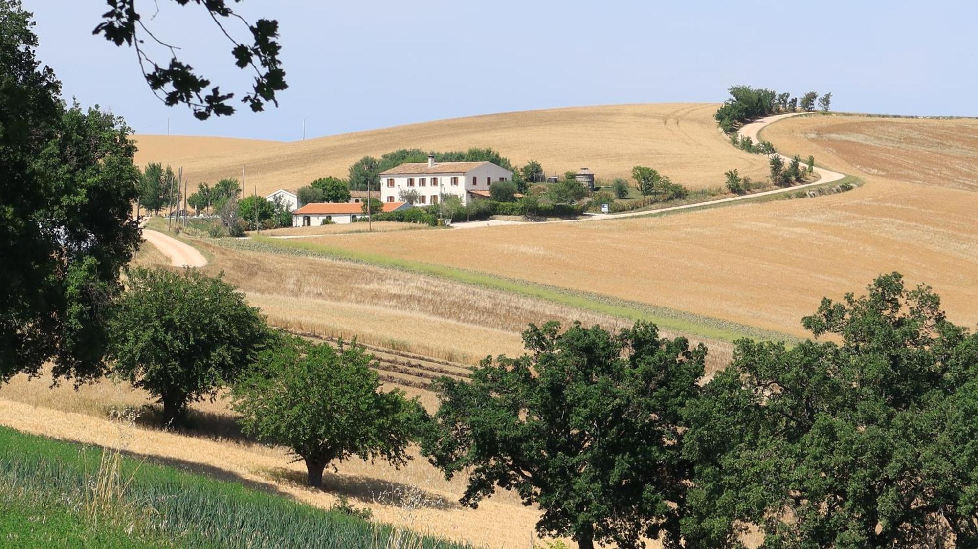 Гостьовий будинок Rustico Del Bozzo Castelleone di Suasa Екстер'єр фото